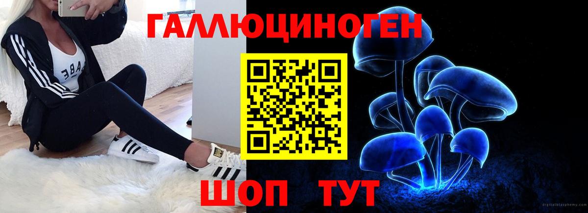 Галлюциногенные грибы мицелий  Вход с VPN  Лесозаводск 