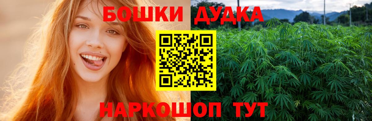 Марихуана сатива  Канабис планчик  Лесозаводск  Вход с VPN 